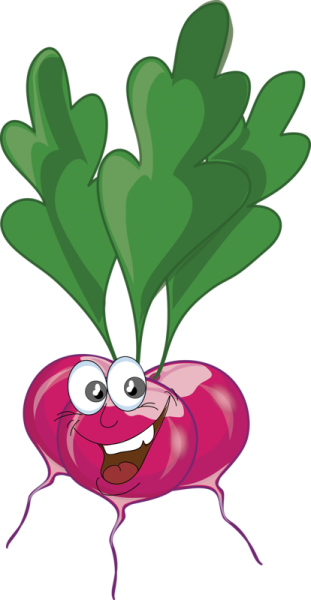 Веселые овощи редиска