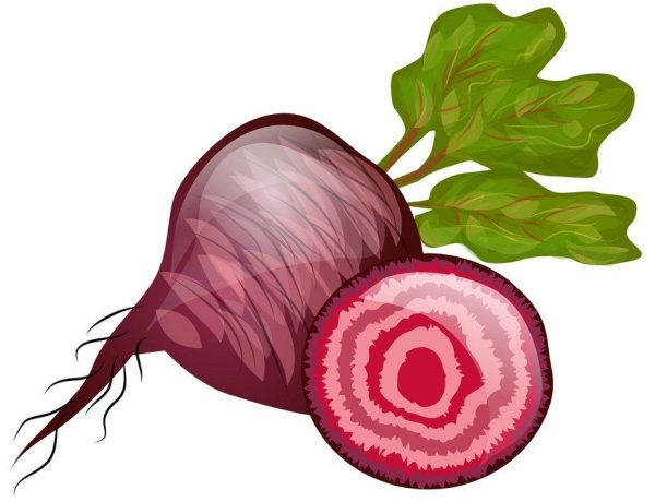 Свекла в разрезе на белом фоне