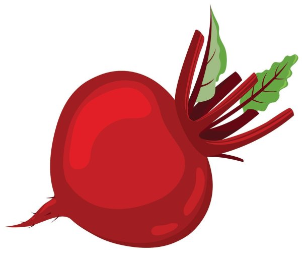 Красная свекла на прозрачном фоне