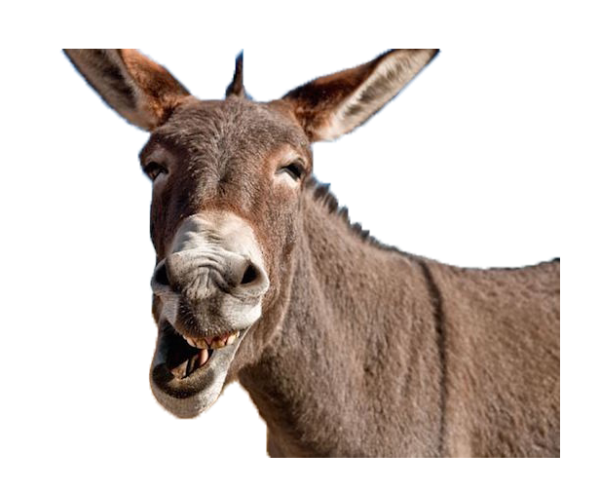 Осел PNG