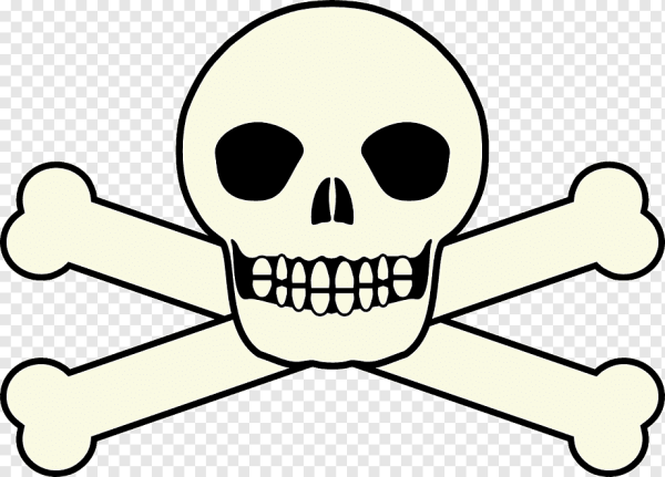 Пиратский череп