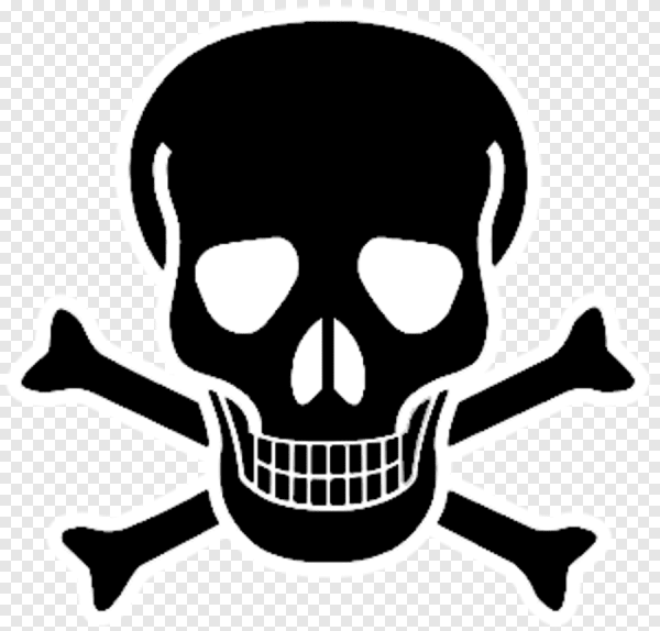 Череп с костями