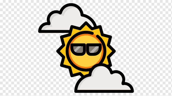 Смайл контроль