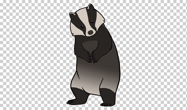 Барсук вектор