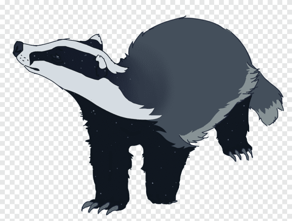 Крутой барсук