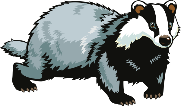 Badger Badger Badger Badger Mushroom Mushroom