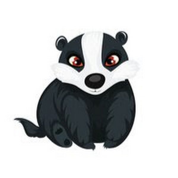 Барсук мордочка