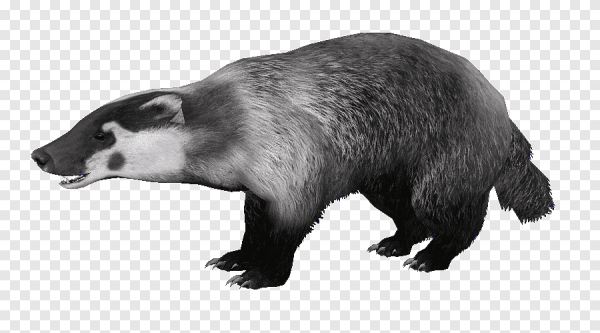 Барсук мультяшка