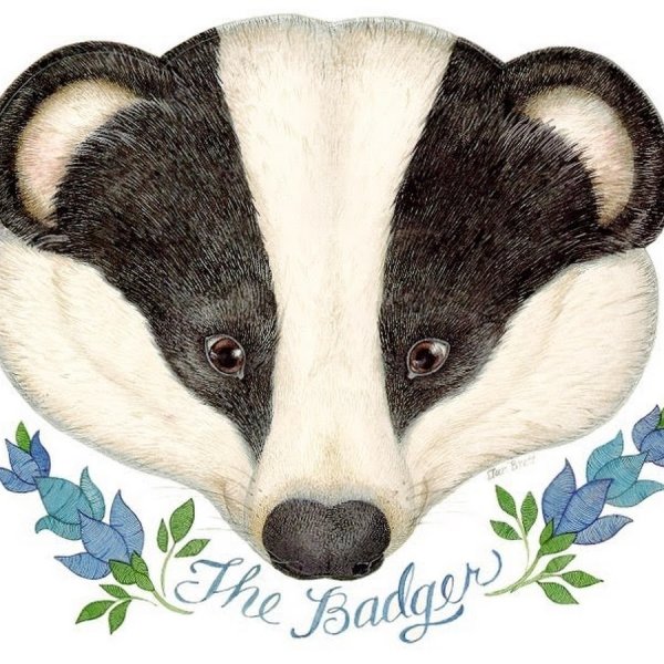 Эмодзи животные барсук