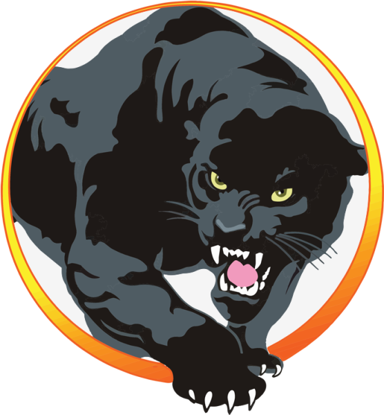 Голова пантеры