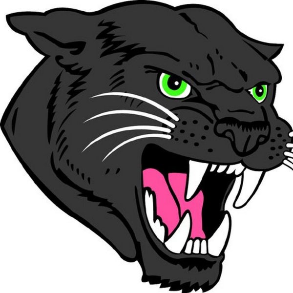 Морда пантеры нарисовать
