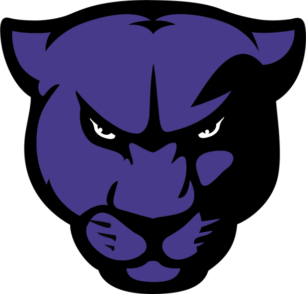 Черная пантера голова