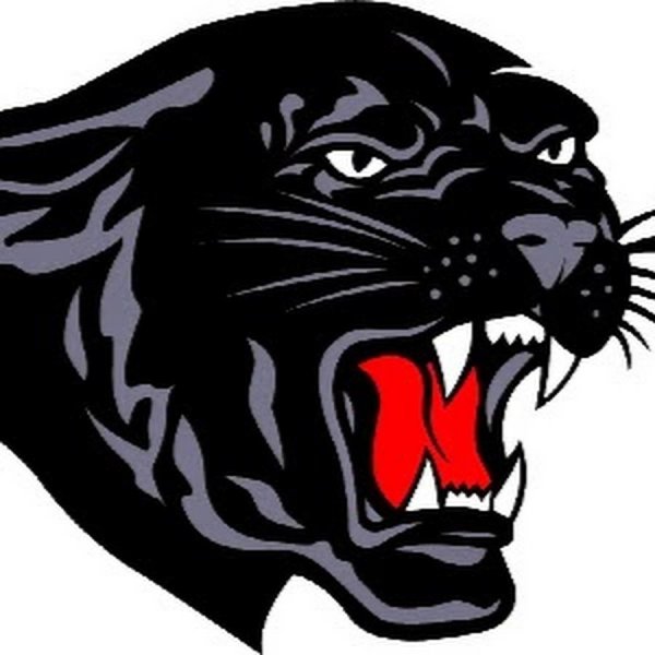 Оскал пантеры ОДОН