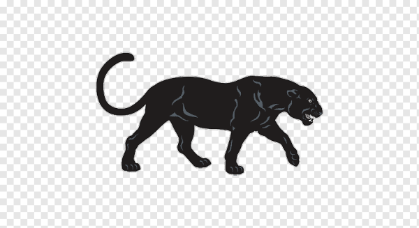 Крадущаяся пантера вид сбоку.