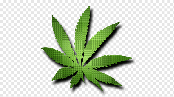 Листочек конопли
