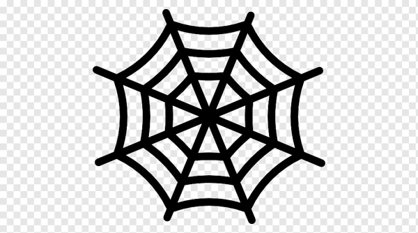 Паутина пиктограмма