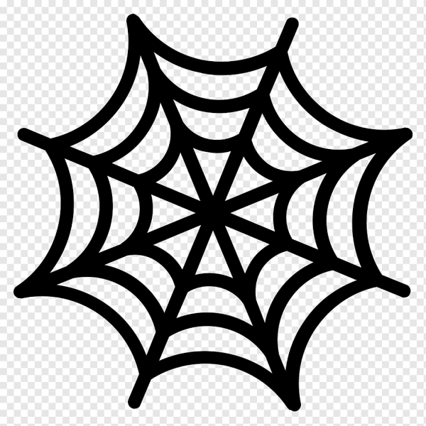 Паутина вектор