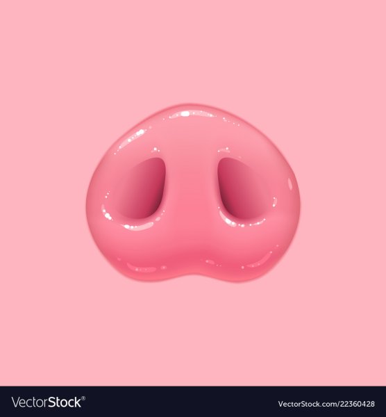 Эмодзи нос свиньи