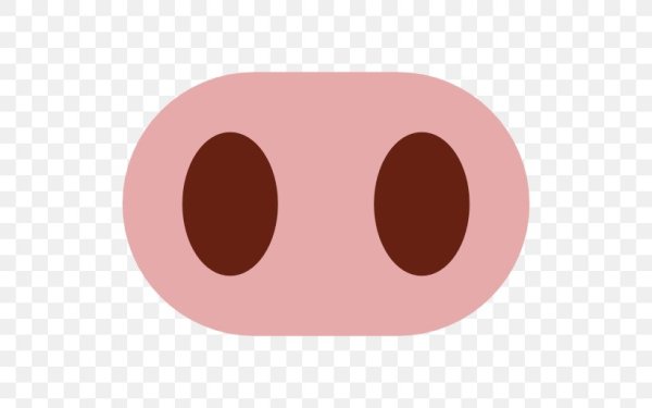 Нос свиньи на белом фоне