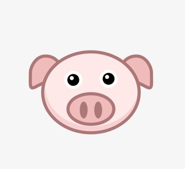 Мордочка свиньи