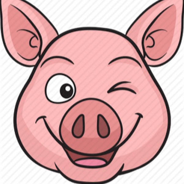 Винни пух с медом на белом фоне