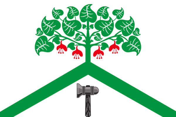 Флаг верхней салды