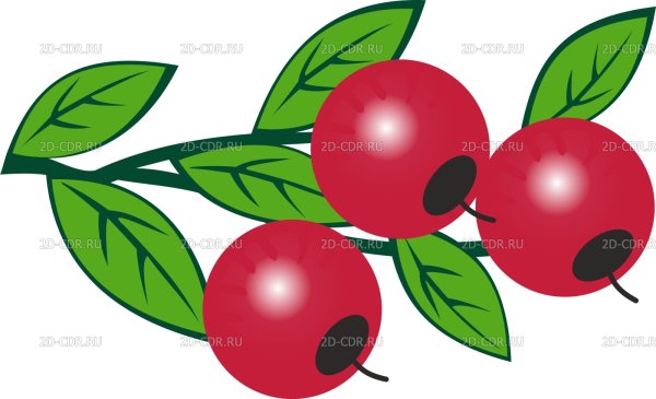 Клюква с глазками вектор