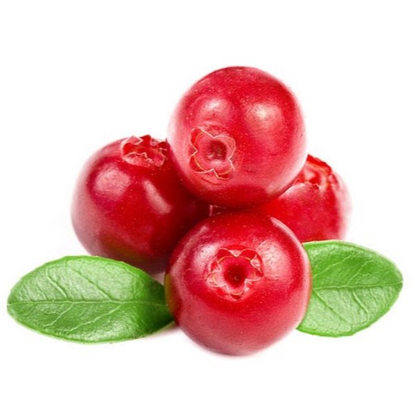 Клюква ягода