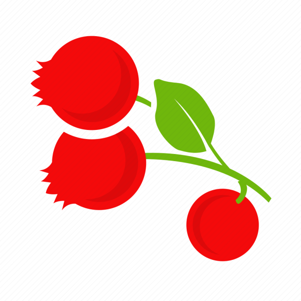 Клюква вектор