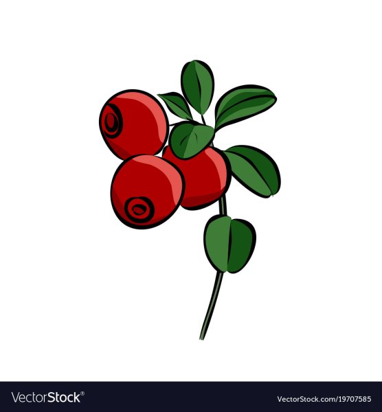 Стилизованная брусника