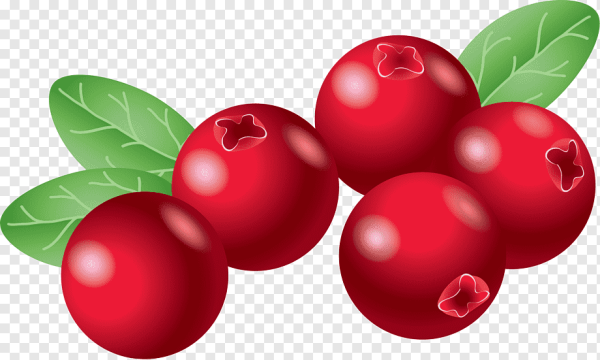 Клюква для дошкольников