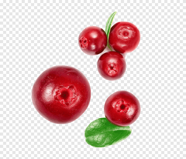 Брусника без фона