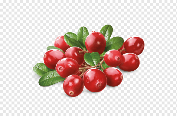 Веточка клюквы