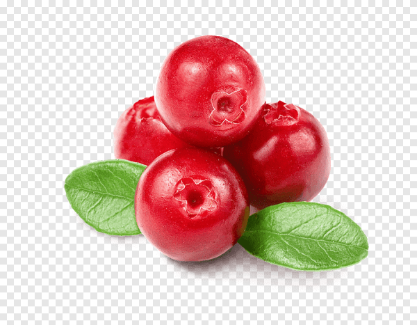 Ягодка клюква