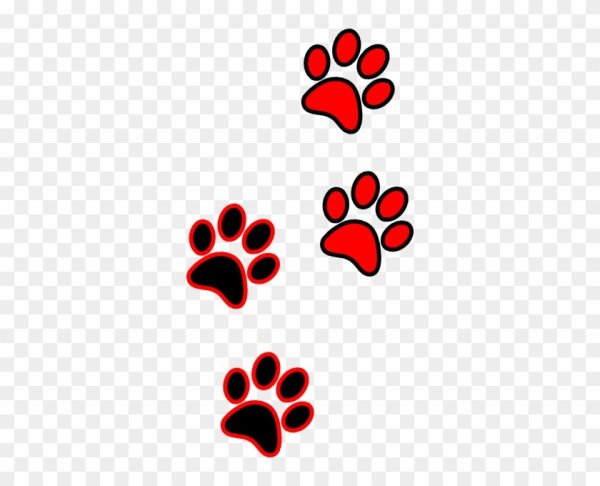 Следы кошачьих лапок арт