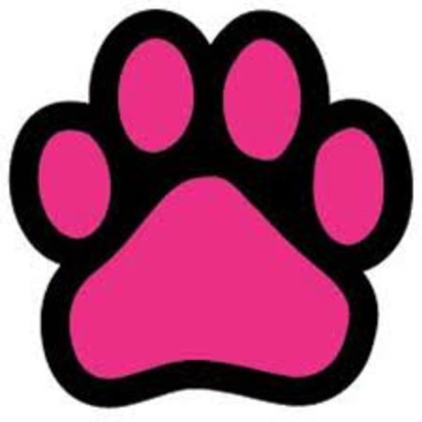 Кошачья лапа