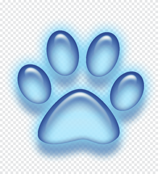 Кошачьи следы