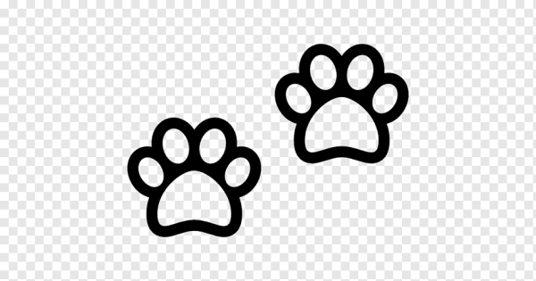 Лапки вектор