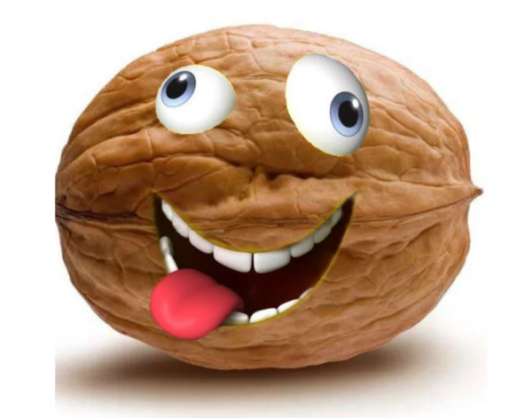 Орех с глазами