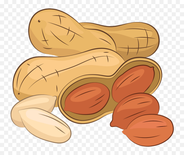 Нарисовать орех