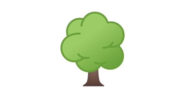 Дуб смайлик