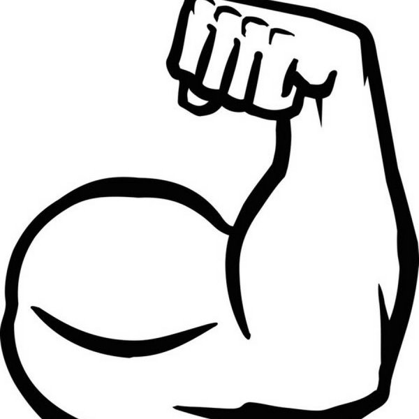 Сильные руки вектор