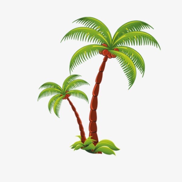 Пальма рисунок на прозрачном фоне