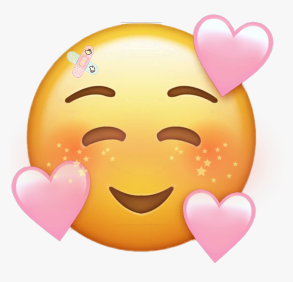 Милые мордочки