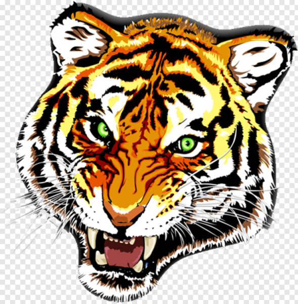 Голова тигра цветная