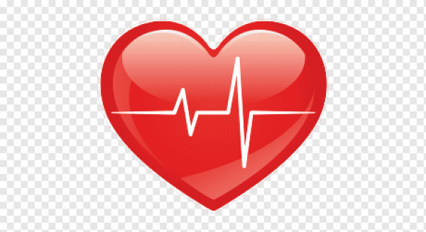 Пульс сердца