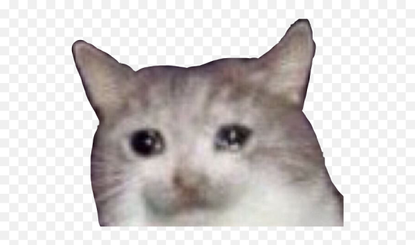 Плачущий кот лайк