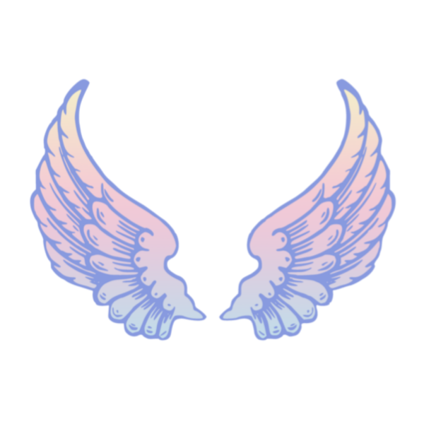 Ангельские крылышки