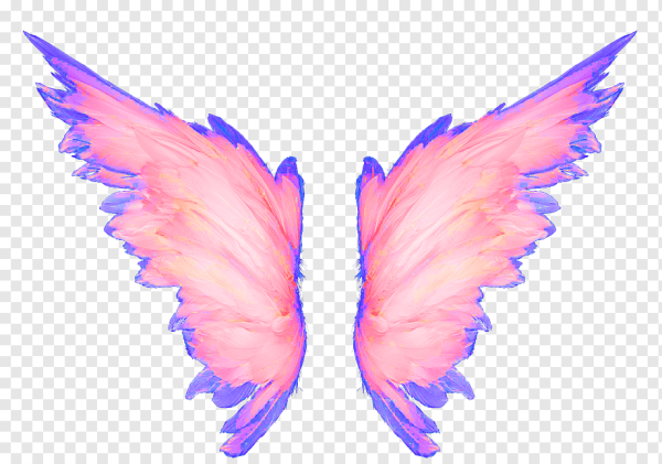 Розовые Крылья