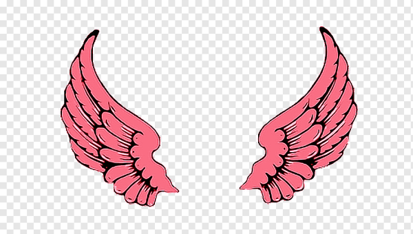 Розовые Крылья